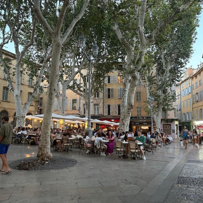 Bel appartement aixois dans le centre historique - Apartamento de 1 dormitorio - 3