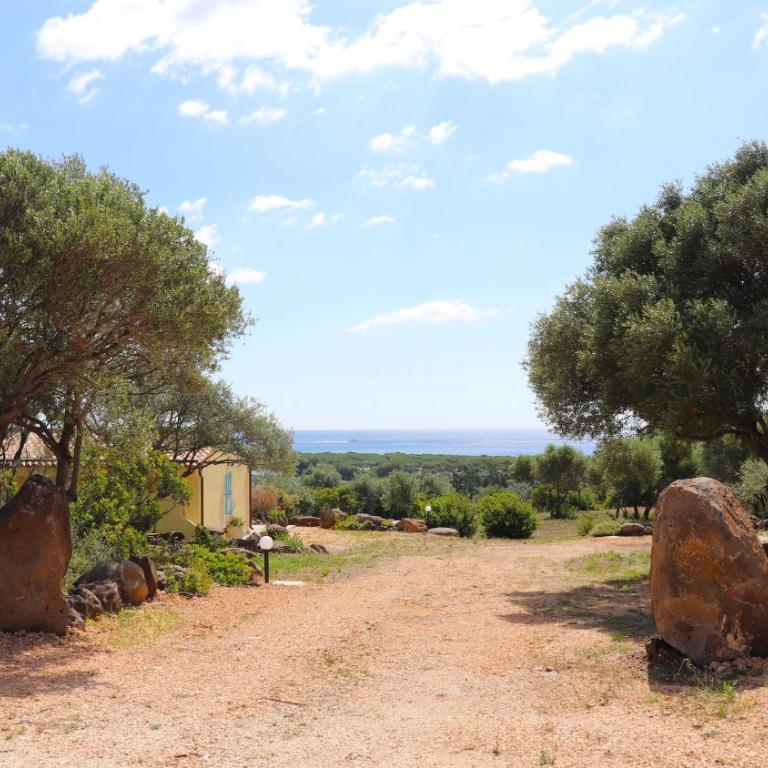 Country villa Sant' Elène- Appartamento Mirto - Villa con 2 Camere da Letto - 42
