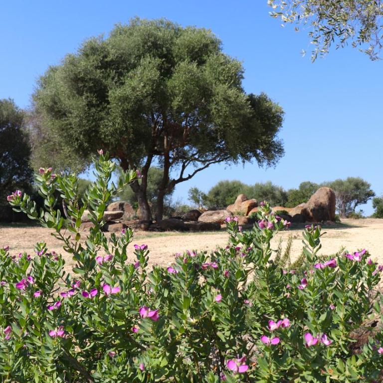 Country villa Sant' Elène- Appartamento Mirto - Villa con 2 Camere da Letto - 44