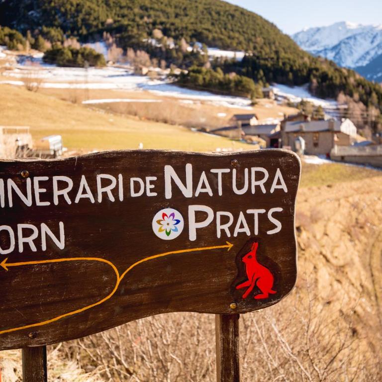Apartaments Ashome - Apartamento de 2 dormitorios con terraza - Carretera de Prats, Canillo - 20