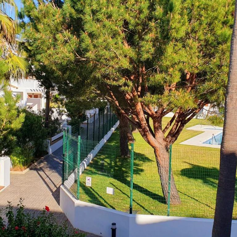 Appartement à 850 m de la plage de la Barrosa - Apartamento de 2 dormitorios con vistas a la piscina - 17