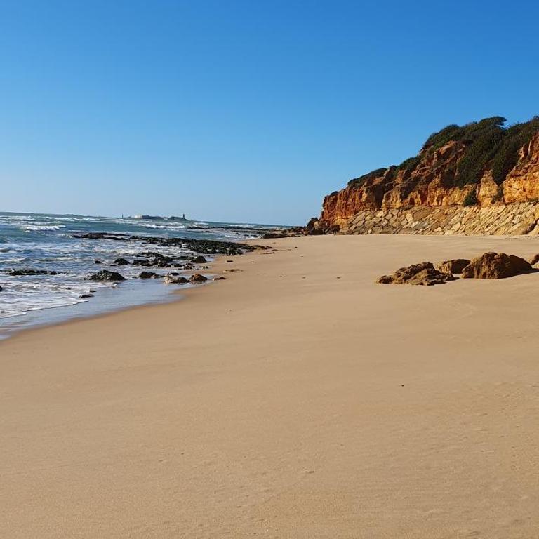 Appartement à 850 m de la plage de la Barrosa - Apartamento de 2 dormitorios con vistas a la piscina - 19