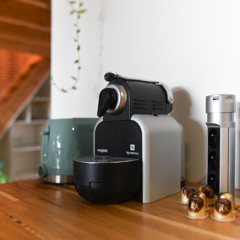 Le Loft Botanique Et Son Parking Gratuit - Appartement 1 Chambre - 9
