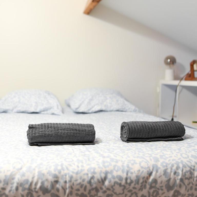 Le Loft Botanique Et Son Parking Gratuit - Appartement 1 Chambre - 13
