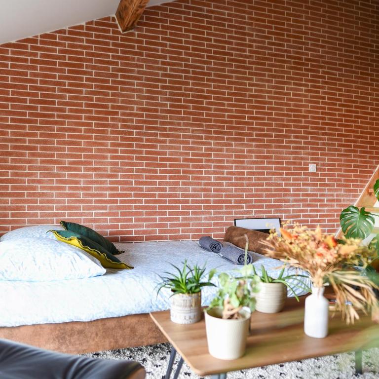 Le Loft Botanique Et Son Parking Gratuit - Appartement 1 Chambre - 15