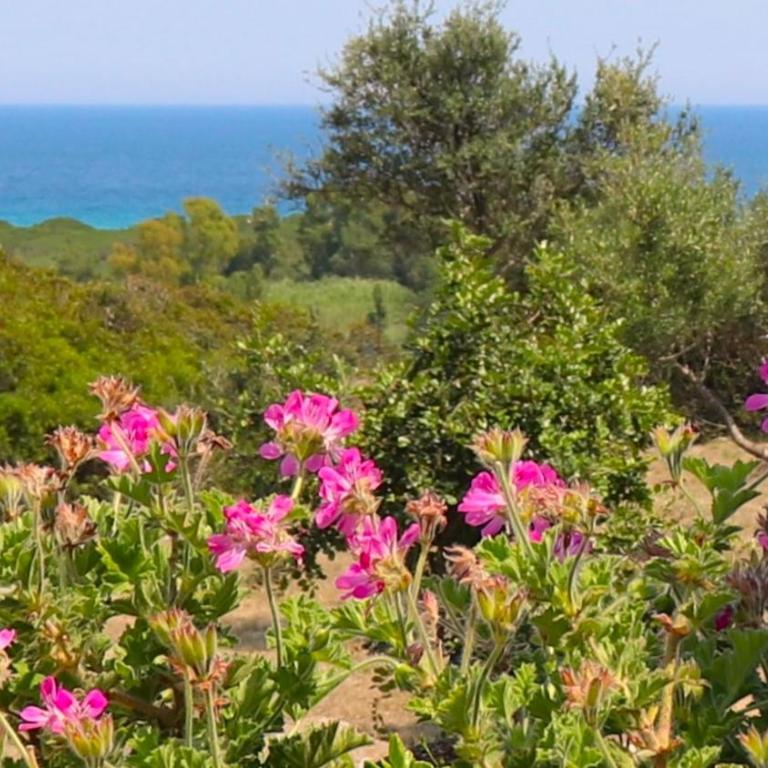 Country villa Sant' Elène - Appartamento Olivo - Appartamento con 2 Camere da Letto - 9