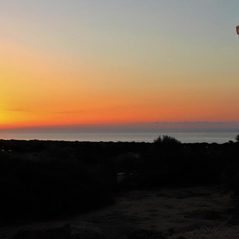 Country villa Sant' Elène - Appartamento Olivo - Appartamento con 2 Camere da Letto - 7