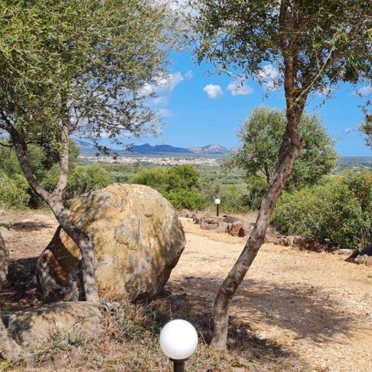 Country villa Sant' Elène - Appartamento Olivo - Appartamento con 2 Camere da Letto - 14