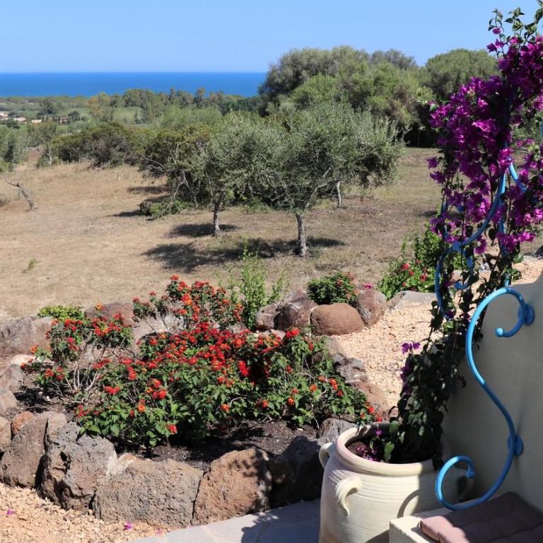 Country villa Sant' Elène - Appartamento Olivo - Appartamento con 2 Camere da Letto - 47