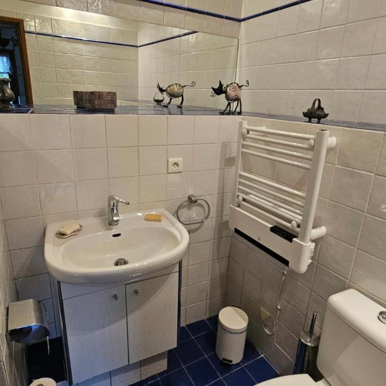 Mazet (maisonnette provençale) - Maison 1 Chambre - 7