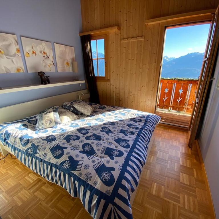 Beautiful chalet with exceptional view - Chalet - 25