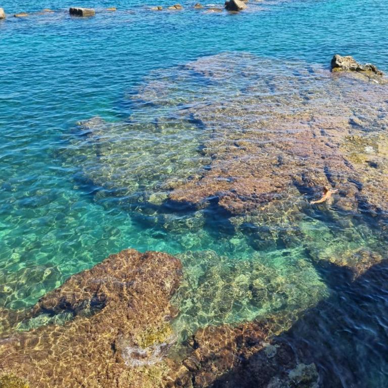Salve Vista Mare - Appartamento con 1 Camera da Letto - 15