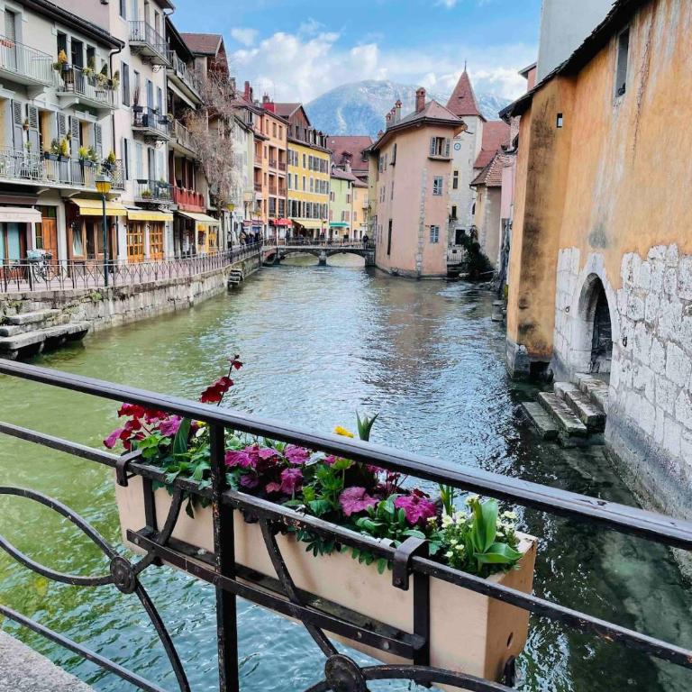 Bel appart, le petit Carnot - Appartement 1 Chambre - 45