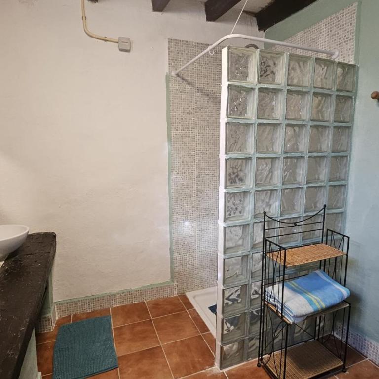 Experience Alpacas in Andalucia - Guesthouse with Two Bedrooms - 19
