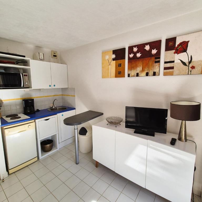 150 m plage, domaine privé avec piscine - Studio - 7