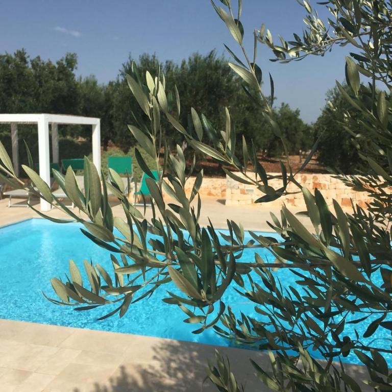 Trullo Amato with exclusive pool - Villa Standard - 37
