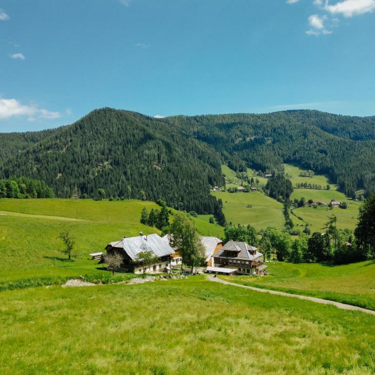 Glatz Hof Appartement Nockberge - Apartment mit 2 Schlafzimmern und Balkon - 4