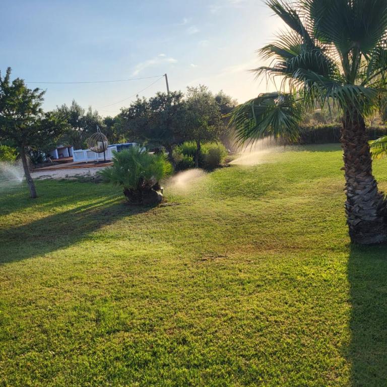 Villa con piscina - Alghero - “VILLA ELENA” - Villa - 46