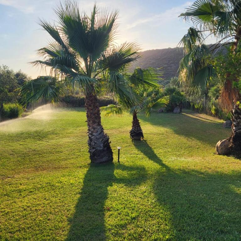 Villa con piscina - Alghero - “VILLA ELENA” - Villa - 33