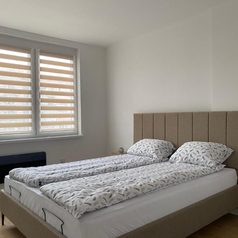 Apartman Adrian - Apartman sa 1 Spavaćom Sobom - 10