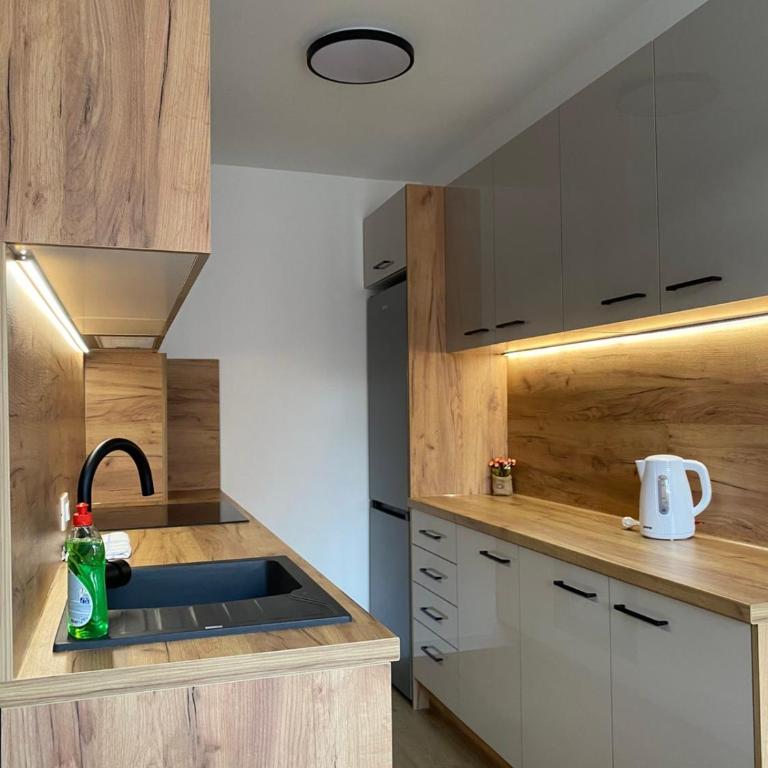 Apartman Adrian - Apartman sa 1 Spavaćom Sobom - 14