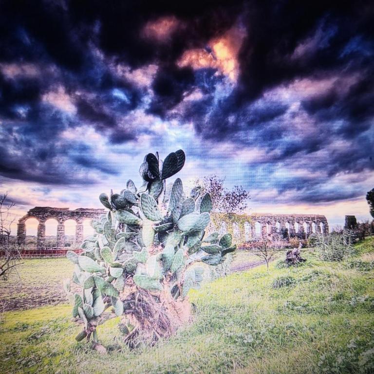 Rome Dolce Vita Luxury Apartment 4 km da Colosseo - Appartamento con 2 Camere da Letto - 21
