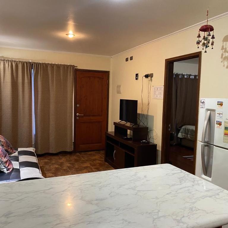 ruta de valdivia cabañas - Apartamento de 1 dormitorio - 5