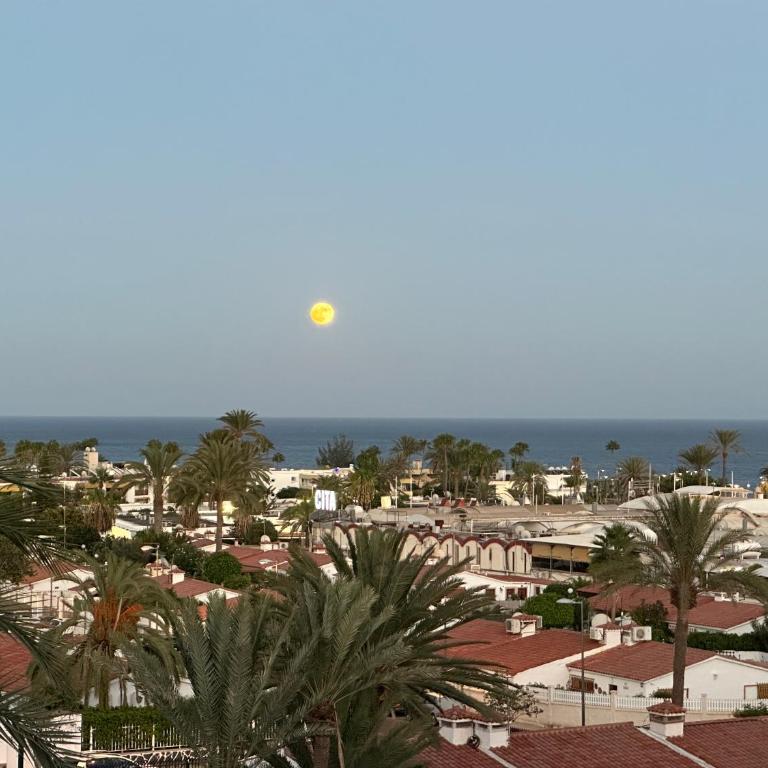 Apartamento Tamaran Sky - Apartamento de 1 dormitorio - 28