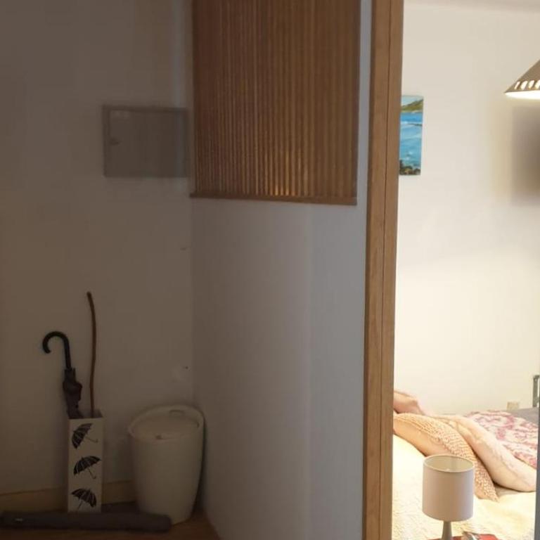 50m des cures joli studio exposition nord libre 25 juillet au 2 août promo dernières dates - Appartement 1 Chambre - 22