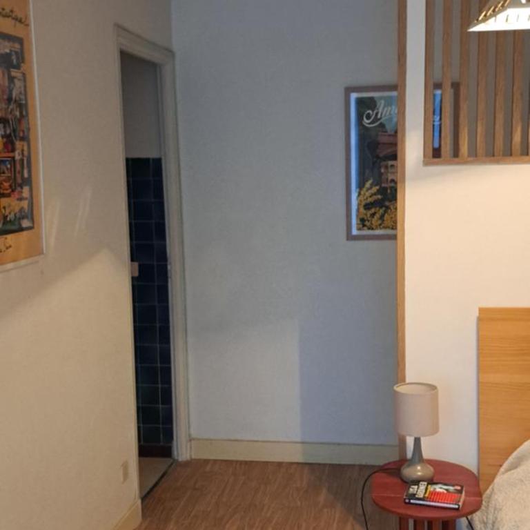 50m des cures joli studio exposition nord libre 25 juillet au 2 août promo dernières dates - Appartement 1 Chambre - 21