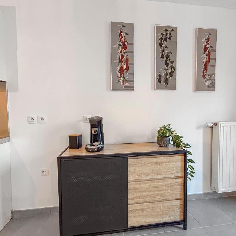 Studio Lumineux Avec Balcon - Studio - 9