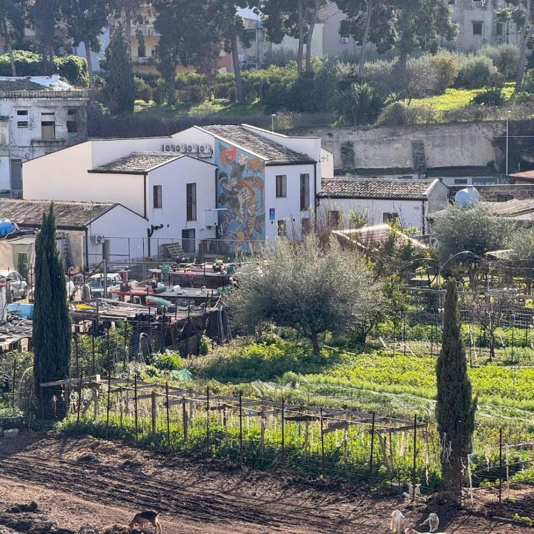 Suli D'amuri - Appartamento con 1 Camera da Letto - 39
