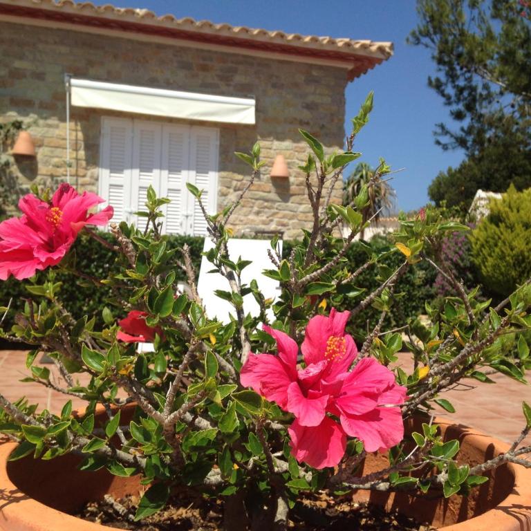 Finca Klara, Boutiquehotel - Apartment -Javea-Moraira- - Habitación Doble - 19