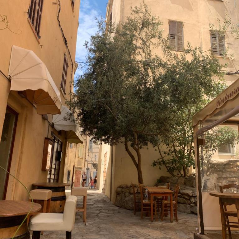 Corse, Calvi T3 lumineux avec piscine, entre mer et montagne - Appartement 2 Chambres - 23