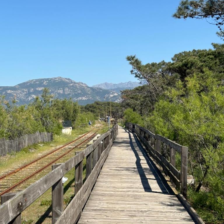 Corse, Calvi T3 lumineux avec piscine, entre mer et montagne - Appartement 2 Chambres - 27