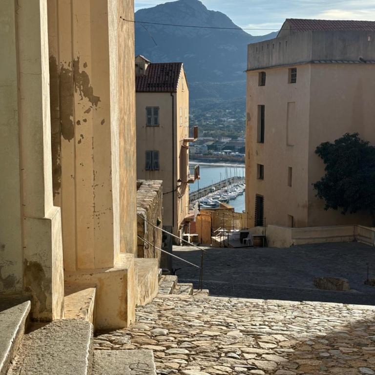 Corse, Calvi T3 lumineux avec piscine, entre mer et montagne - Appartement 2 Chambres - 24