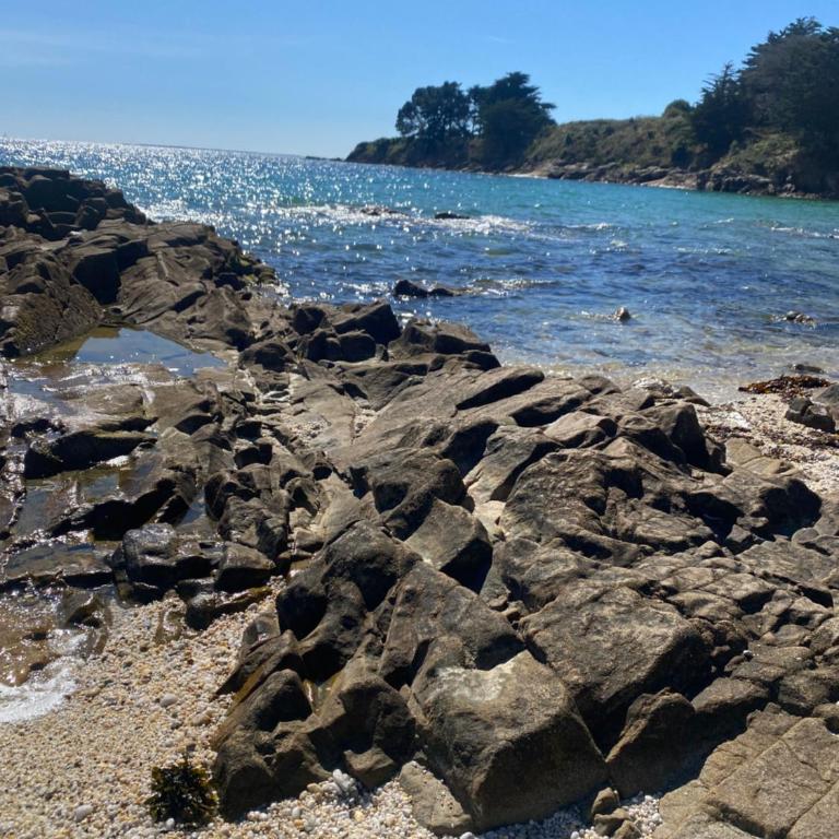 Arzon maisonnette proche plage Kerkarin - Appartement 1 Chambre - 36