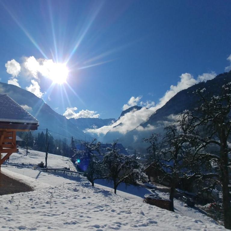 Chalet savoyard écoresponsable, quasiment neuf 8 pers - Chalet - 4