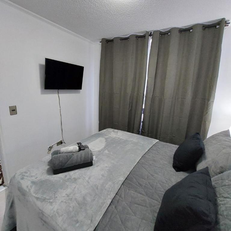 Furnished apartment in the heart of the historic center - Apartamento de 1 dormitorio - 17