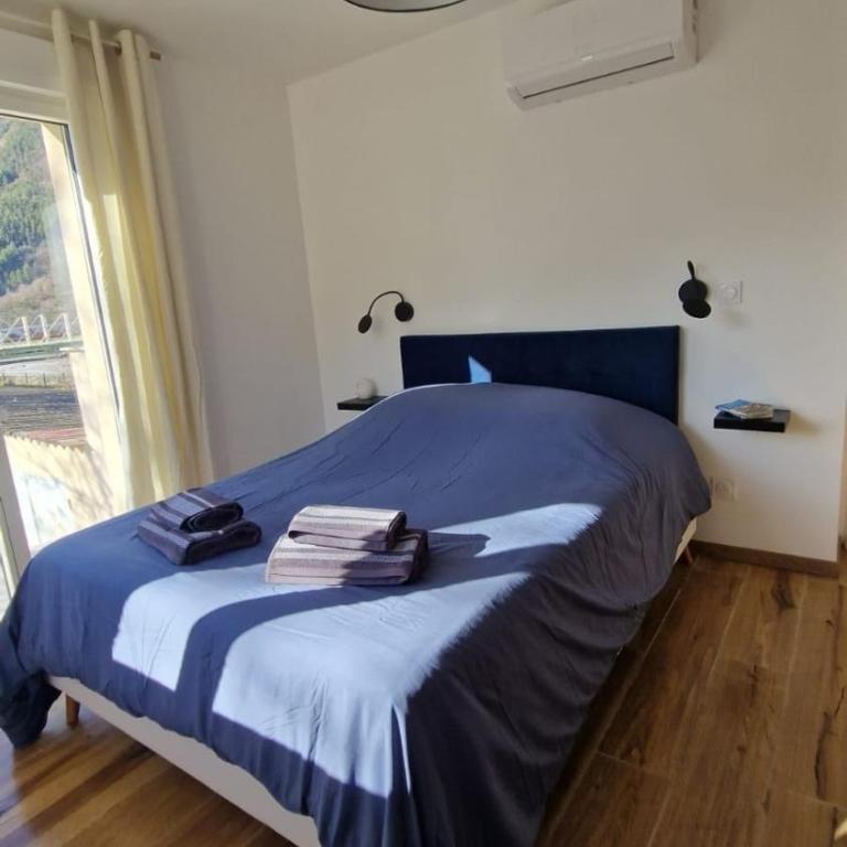 Au bord de la rivière - Appartement 1 Chambre - 66
