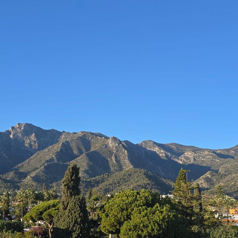 Marbella city center appartment walking distance beach and plaza de los naranjos - Apartamento de 1 dormitorio - 8