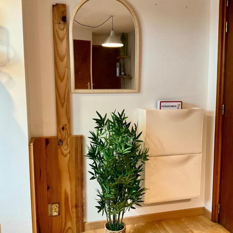 Le Repos du Voyageur, près centre-ville et pistes de ski - Appartement 1 Chambre - 4