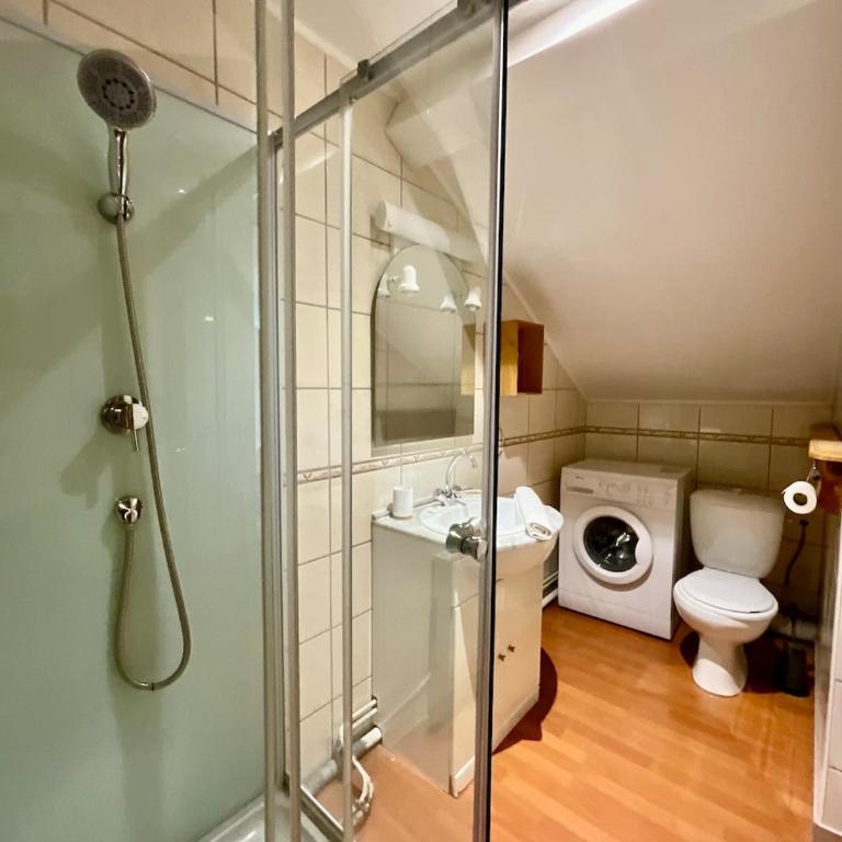 Le Repos du Voyageur, près centre-ville et pistes de ski - Appartement 1 Chambre - 12