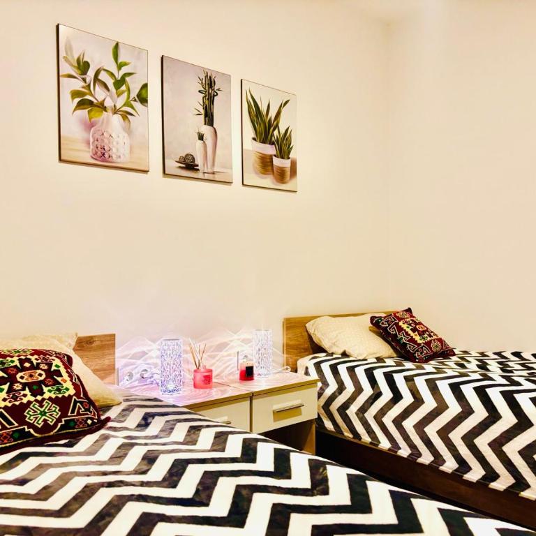 Luna Verde - One-Bedroom Apartment - 1