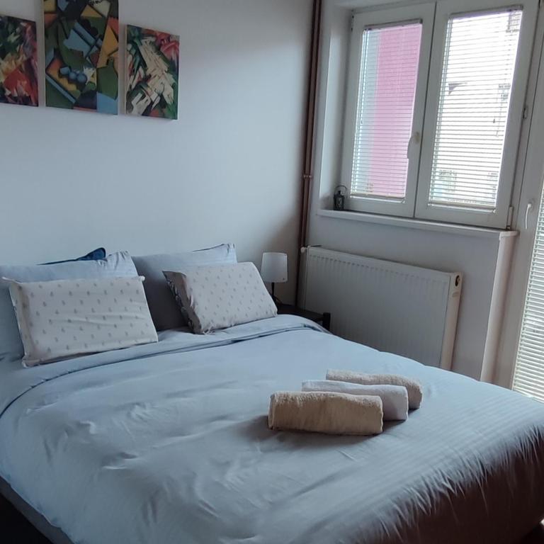 New life - Apartman sa 1 Spavaćom Sobom - 9