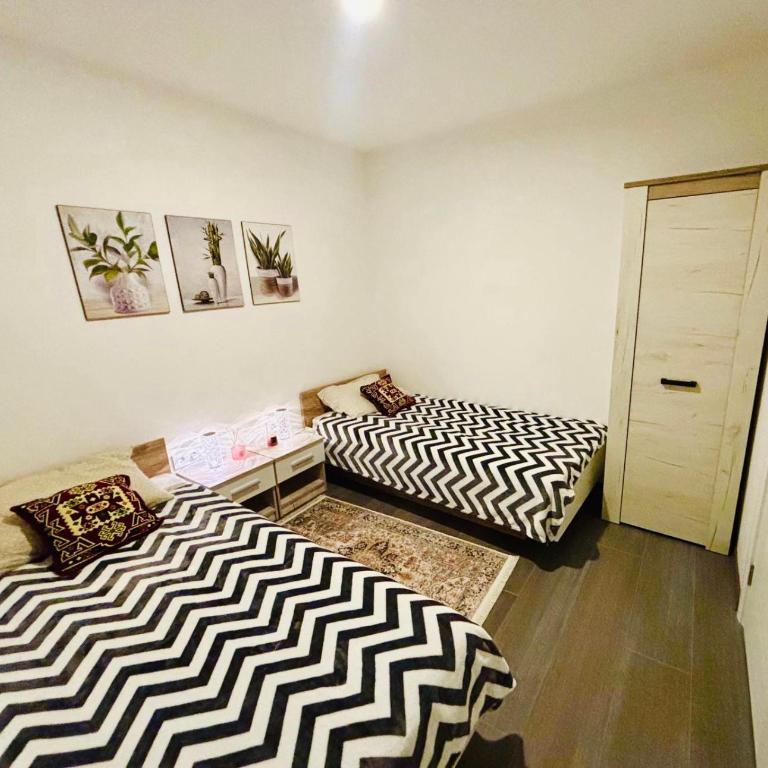 Luna Verde - One-Bedroom Apartment - 2