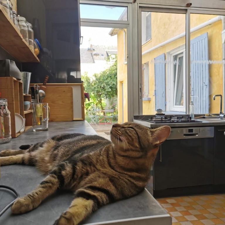 Hébergement confortable Le Mans - Großes Doppelzimmer - 17