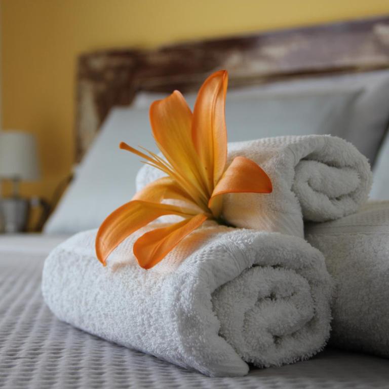 Le Guarattelle House Teresina Room - Camera Matrimoniale con Bagno Privato - 10