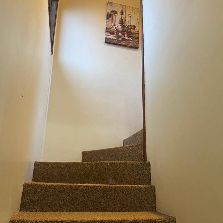 la ruta de valdivia cabaña 5 - Two-Bedroom Apartment - 12