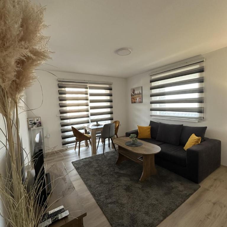 Ammirevole Ravne Apartments - Apartman sa Balkonom - 3